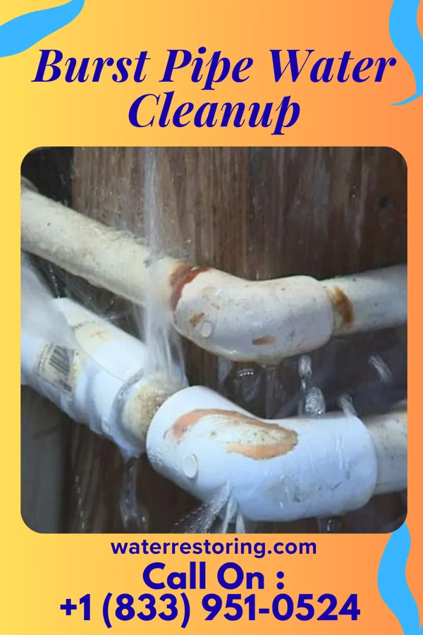 Burst Pipe Water Cleanup in Freemansburg, PA