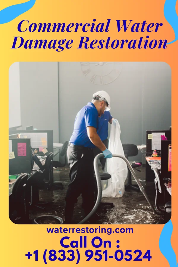 Commercial Water Damage Restoration in Freemansburg, PA