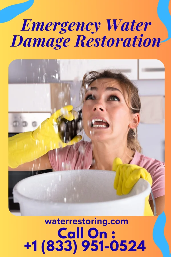 Emergency Water Damage Restoration in Freemansburg, PA