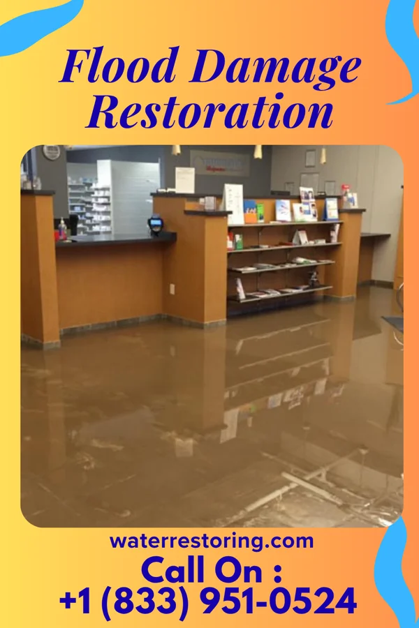 Flood Damage Restoration in Freemansburg, PA