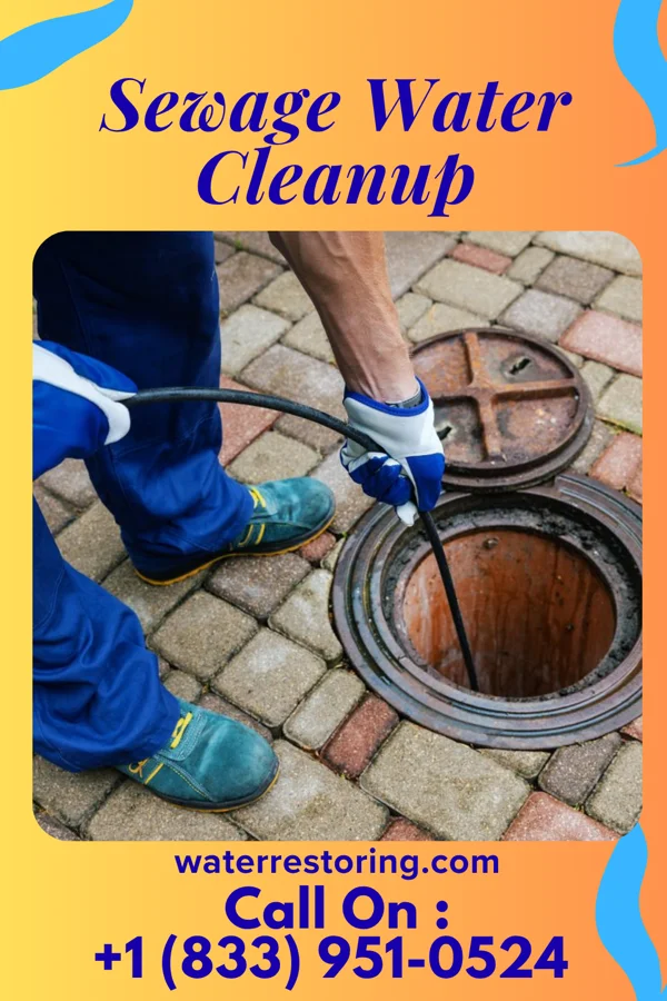 Sewage Water Cleanup in Freemansburg, PA