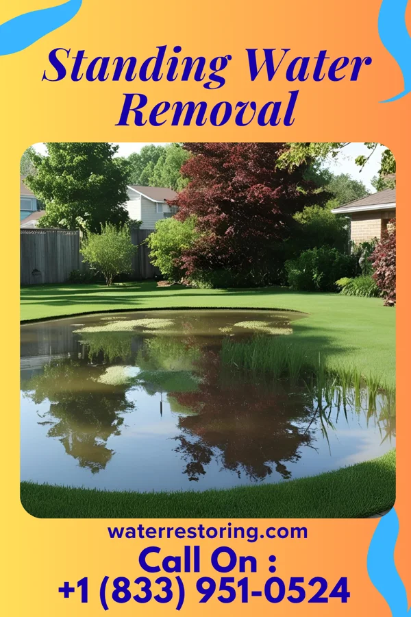 Standing Water Removal in Freemansburg, PA